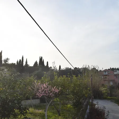 Violet Κανάλι